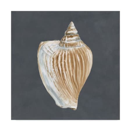 Megan Meagher 'Shell On Slate Vi' Canvas Art,14x14